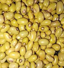 Yellow beans 10kg